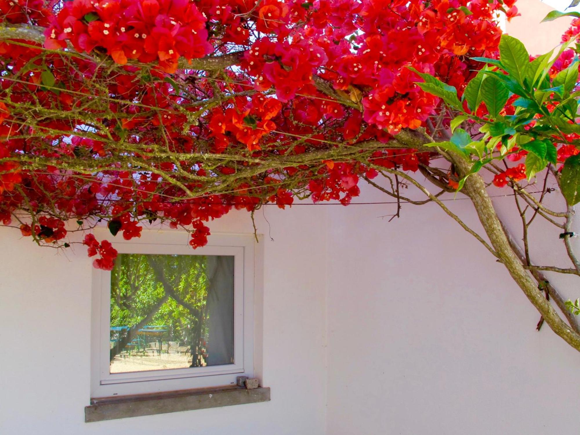 Seaya Villas Cascais Szoba fotó